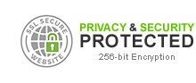 256-bit Encryption Secure Website